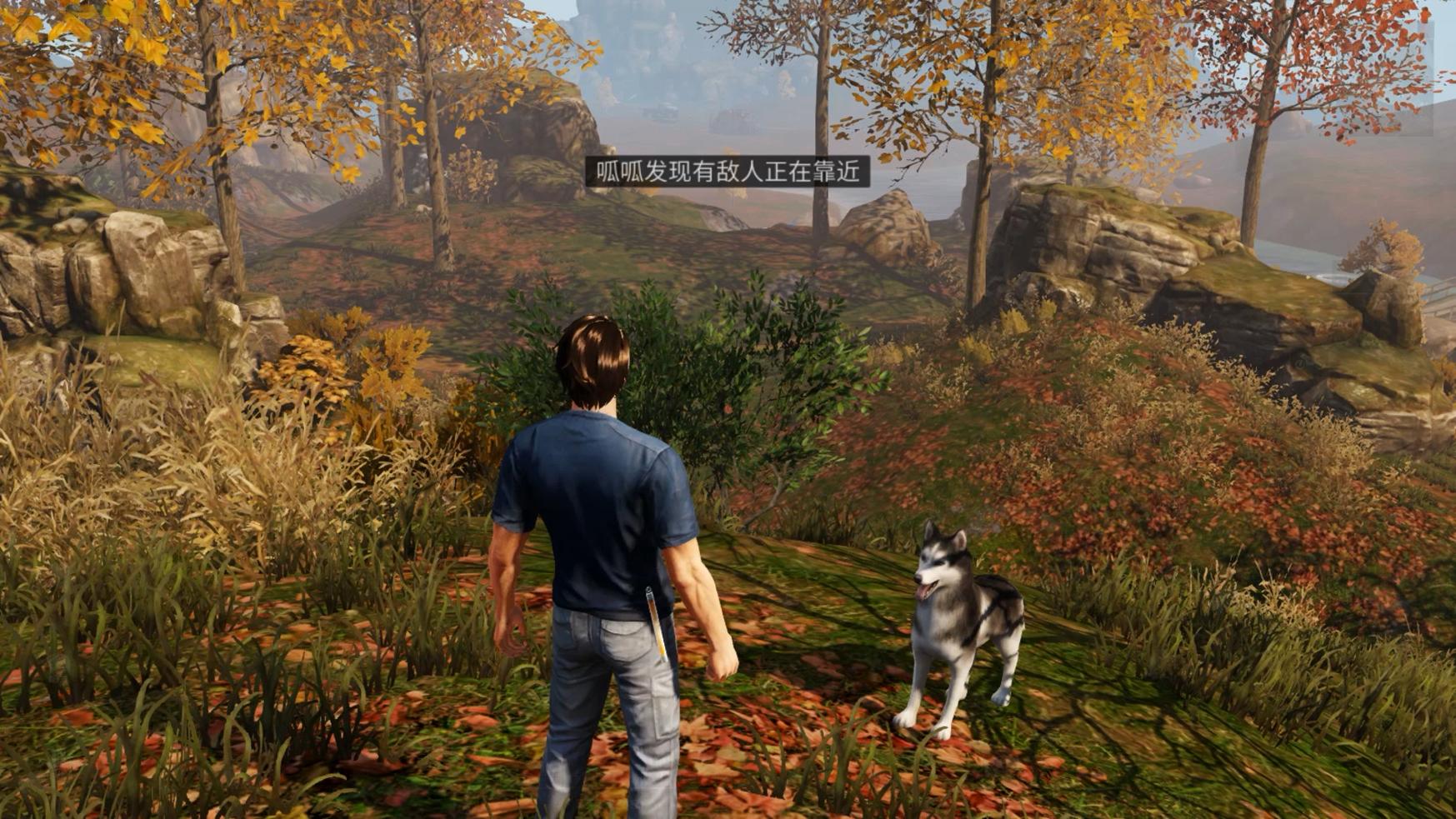 如果刘亚仁拥有这样一条狗，“活着”肯定不会那么困难