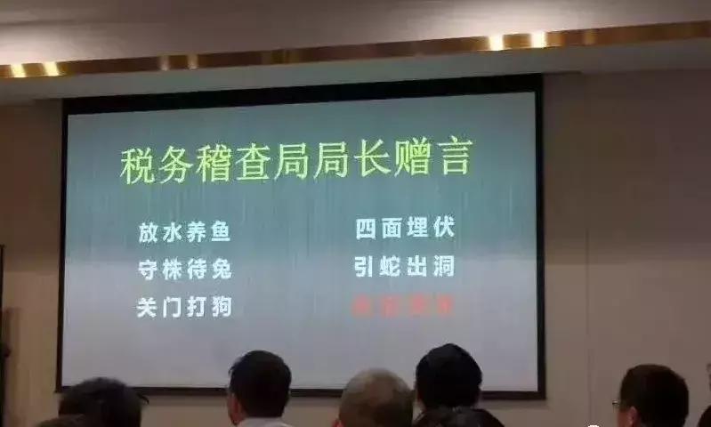 老会计揭秘：你是怎么被税务稽查盯上的？