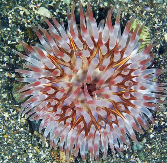 生物学科死记硬背学好吗,学好生物的方法和技巧