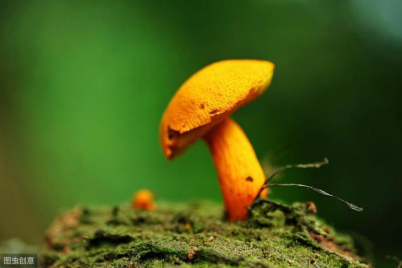 广州新人创业做什么好,新人入公司技巧