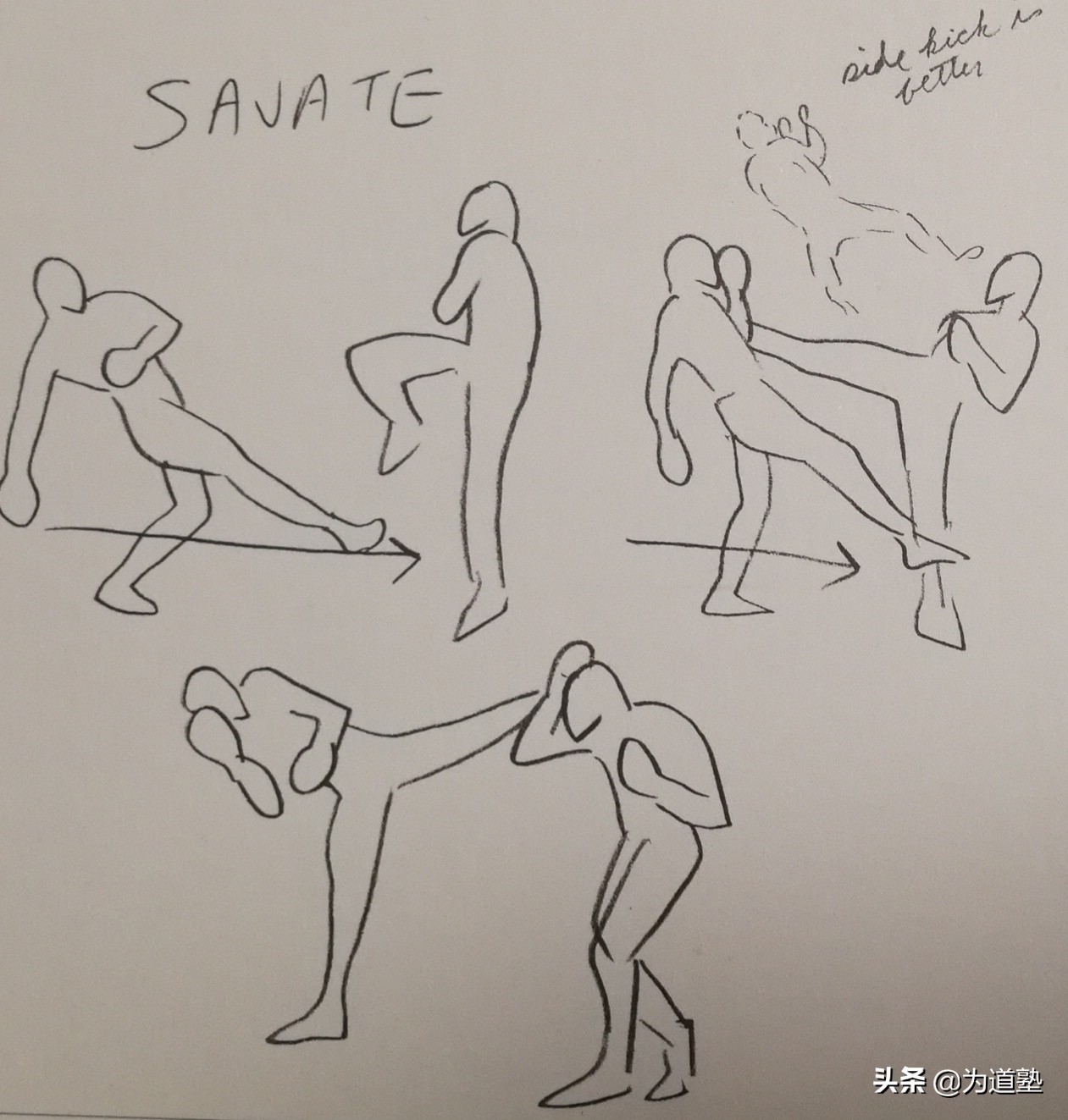 为道塾李小龙,为道塾李小龙龙争虎斗图集