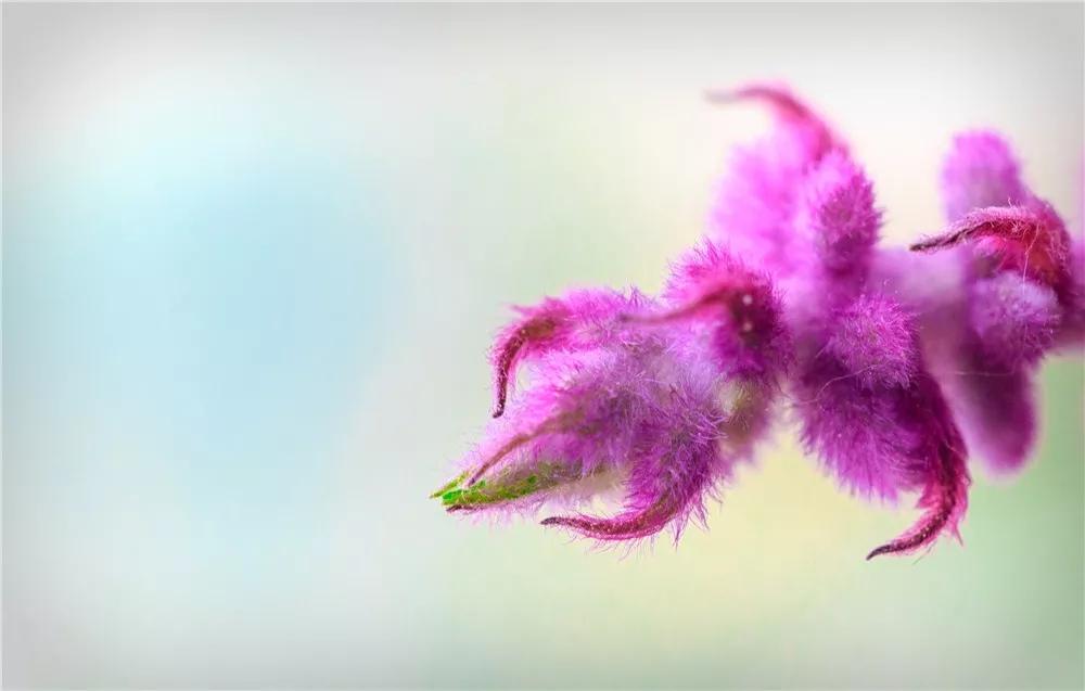 探秘！10000㎡打造世界烘焙商业新物种！！！（系列一）