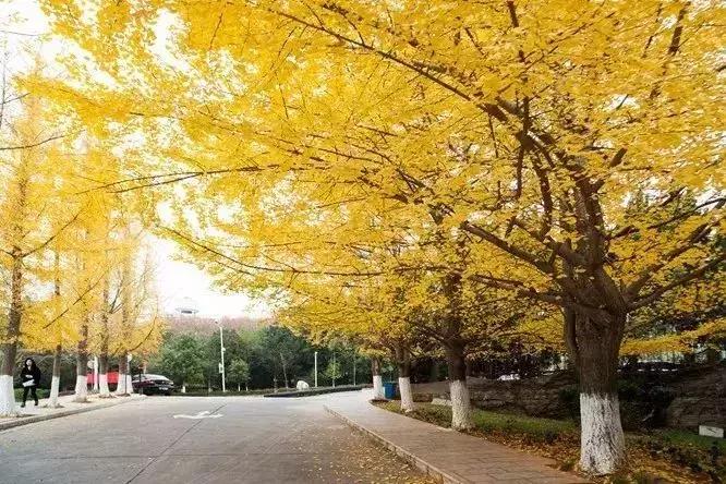 玉溪师范学院详细介绍,玉溪师范学院新消息