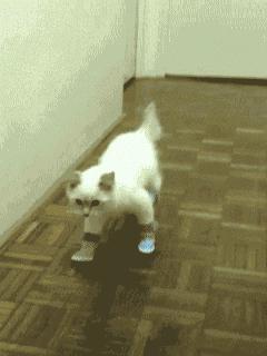 彪马拖鞋到底有多滑,彪马拖鞋到底多滑