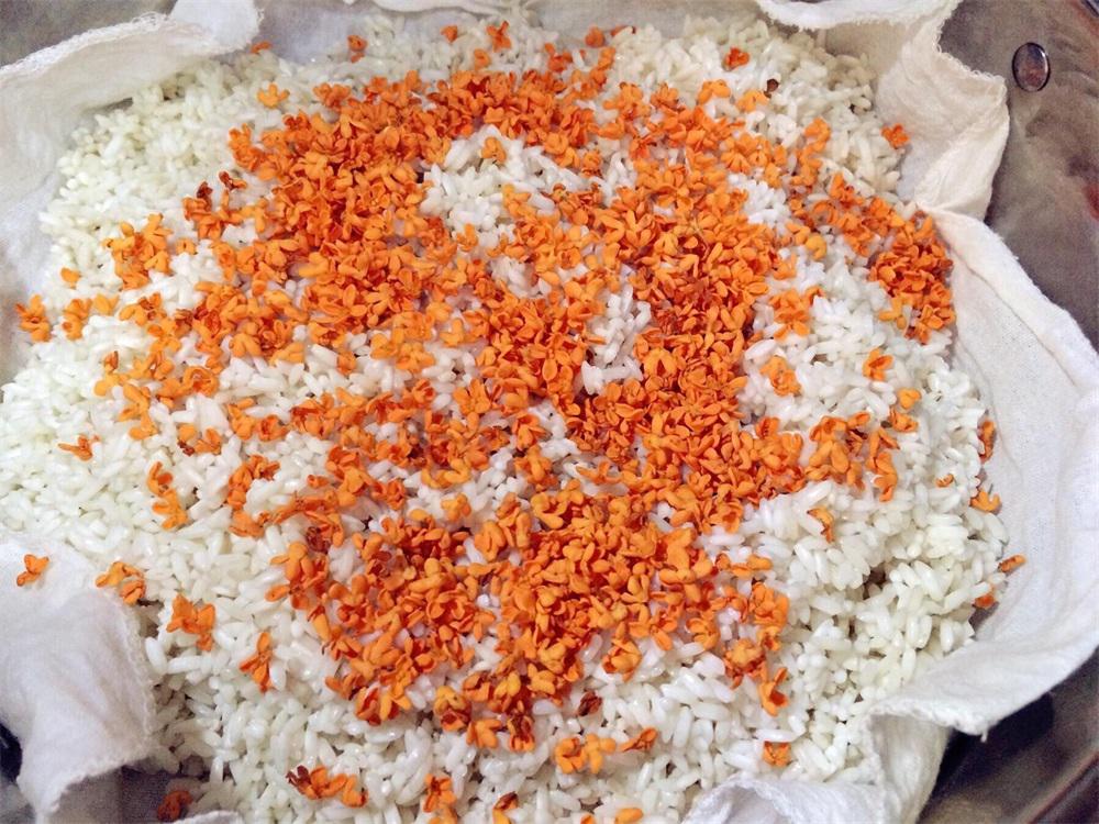 桂花糯米酒做法自酿全过程,苏州冬酿桂花酒制作方法