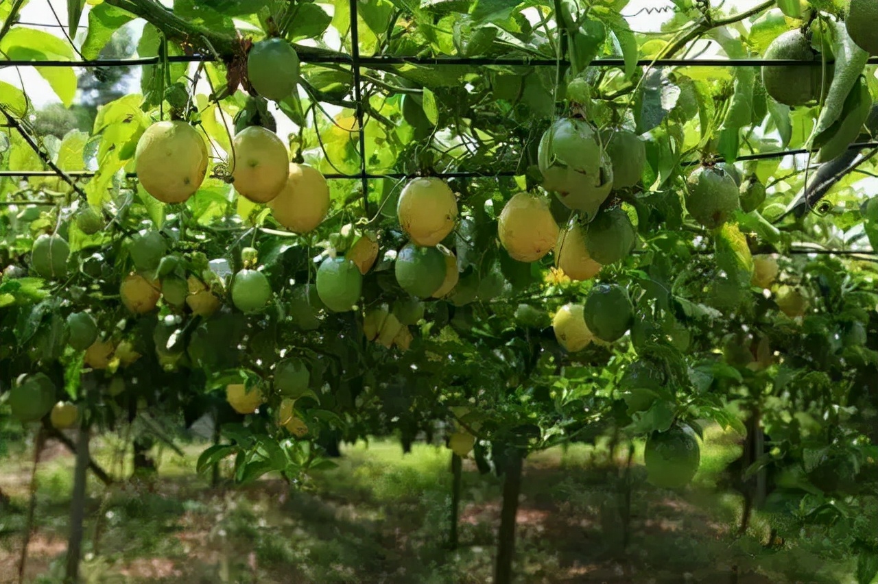 1688年销售额突破千万怎么报税,半年销售额破10亿如何做到的