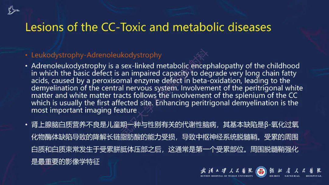 胼胝体肿瘤影像鉴别,胼胝体病变影像诊断