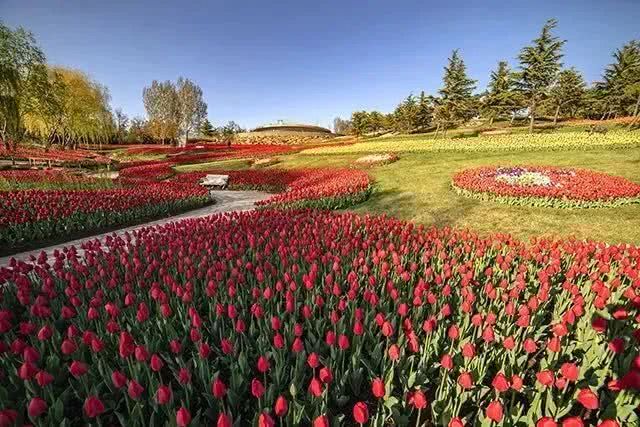 大连市医务人员免费的景点有哪些,大连70岁老人免费景区