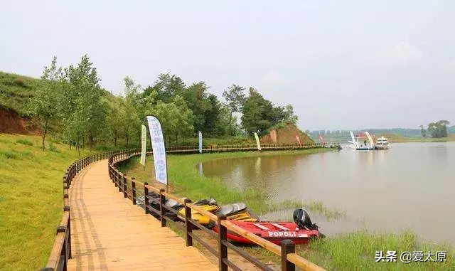 太原龙城柳巷最新消息,太原柳巷2024年还会开吗