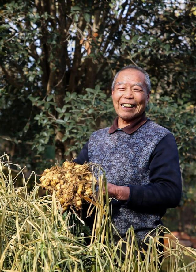 参加过1915年巴拉马博览会的州姜