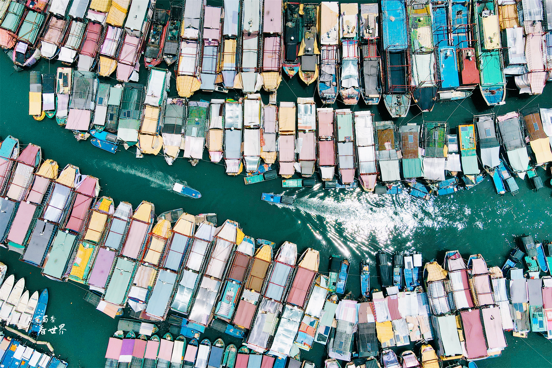 广西北海和东北的差异,东北人为何喜欢广西