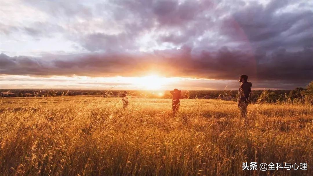 神奇的种子法则全集,神奇的种子的主要内容