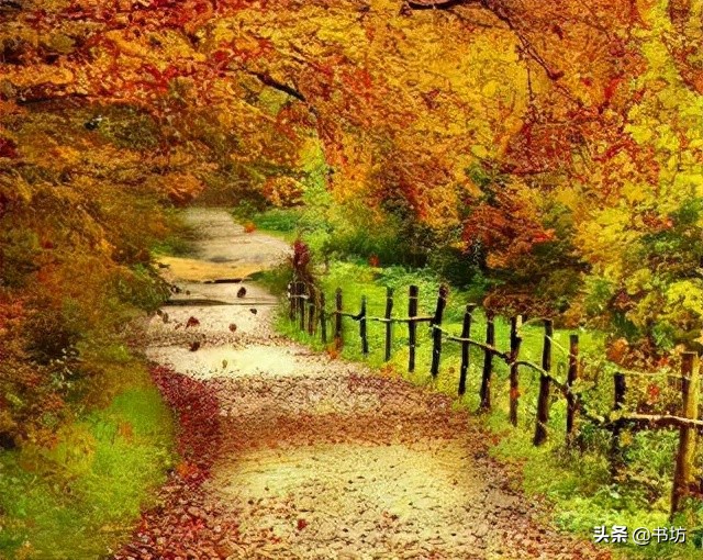 《秋天的怀念》：细品“好好儿活”