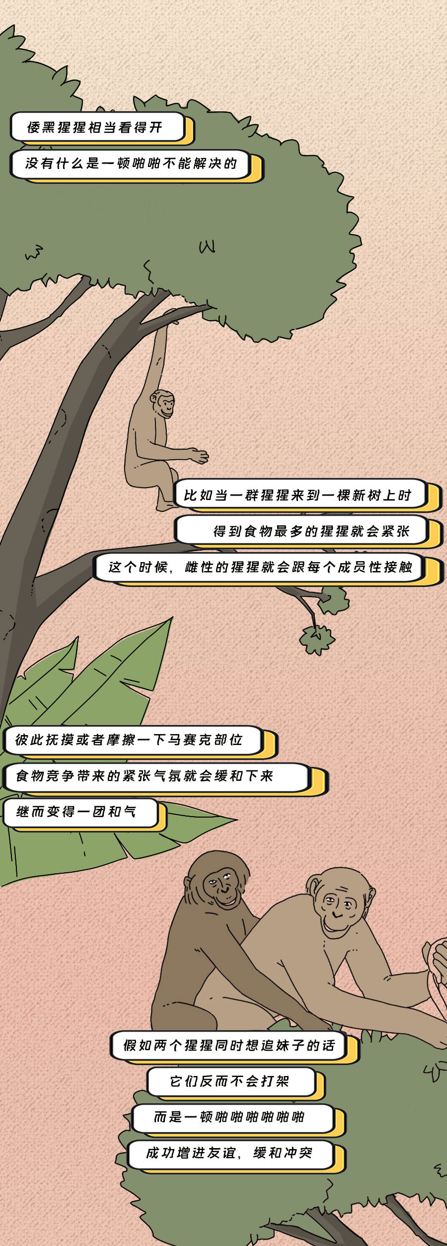 那些羞羞的事:动物是如何啪啪啪的?