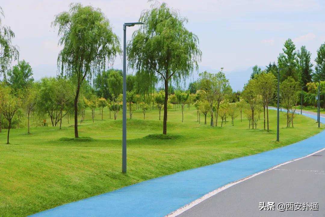 西安大草坪公园推荐,西安有大草坪的公园