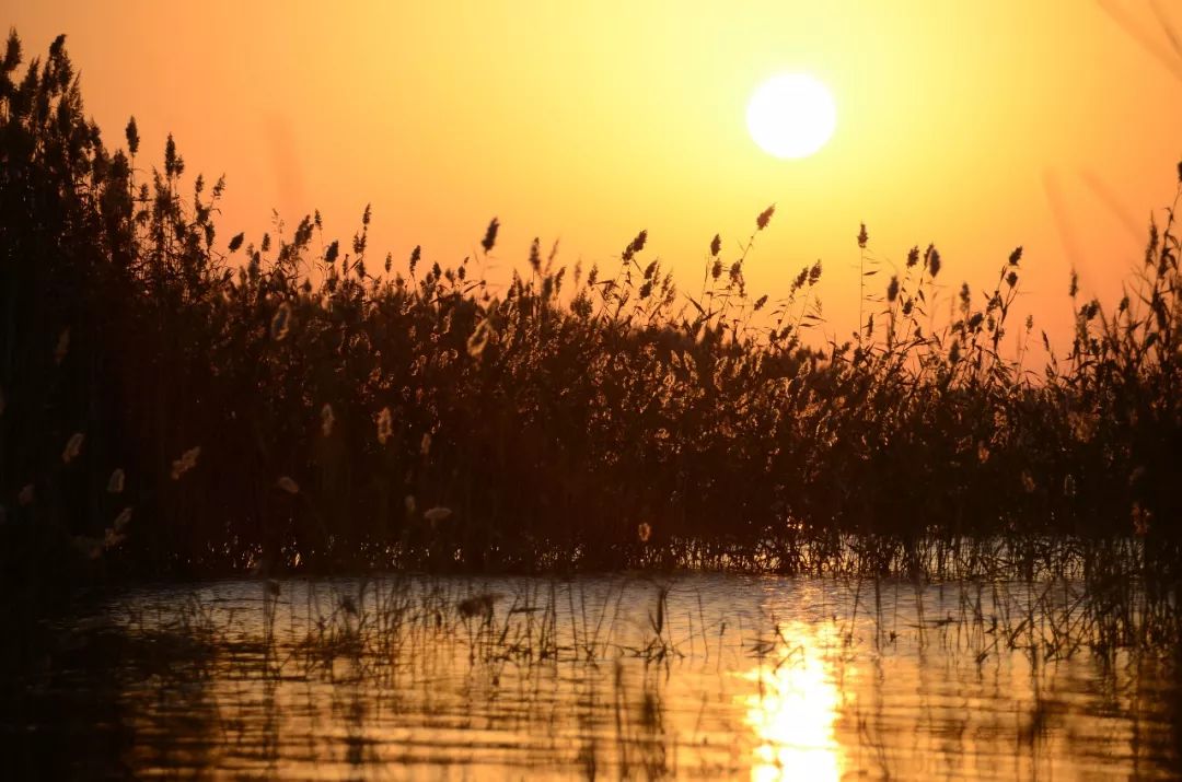 额济纳戈壁滩记录,额济纳戈壁滩沙漠