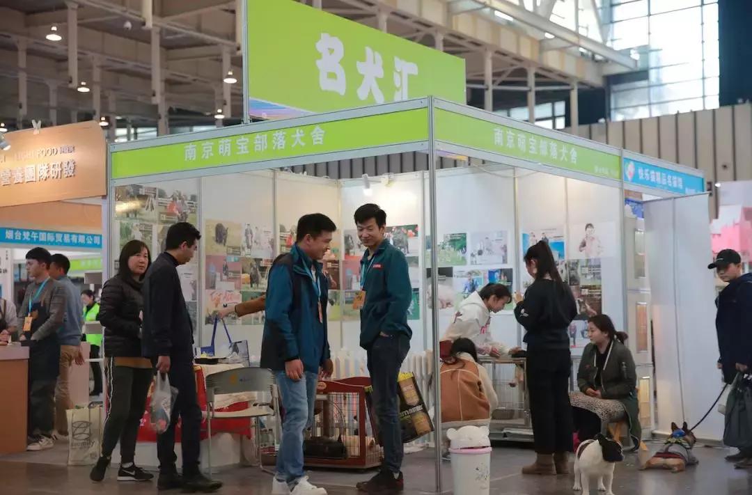 2019年第161届中国宠物文化节,2018年宠物文化节