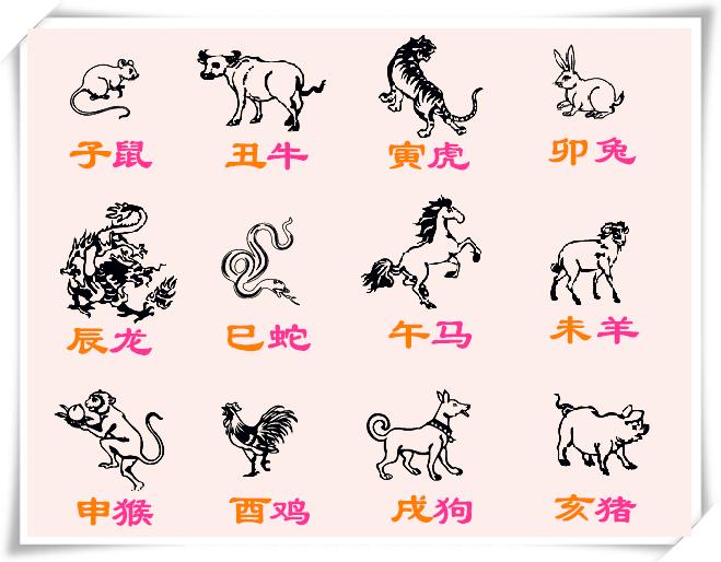 十二生肖的排列顺序和寓意,十二生肖的顺序是根据什么排序的