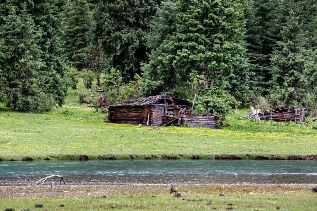 巴松措最近期攻略,巴松措可以开进去吗