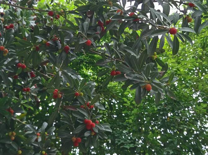 无锡楼盘为什么这么多,为什么说无锡这个城市的房子贵