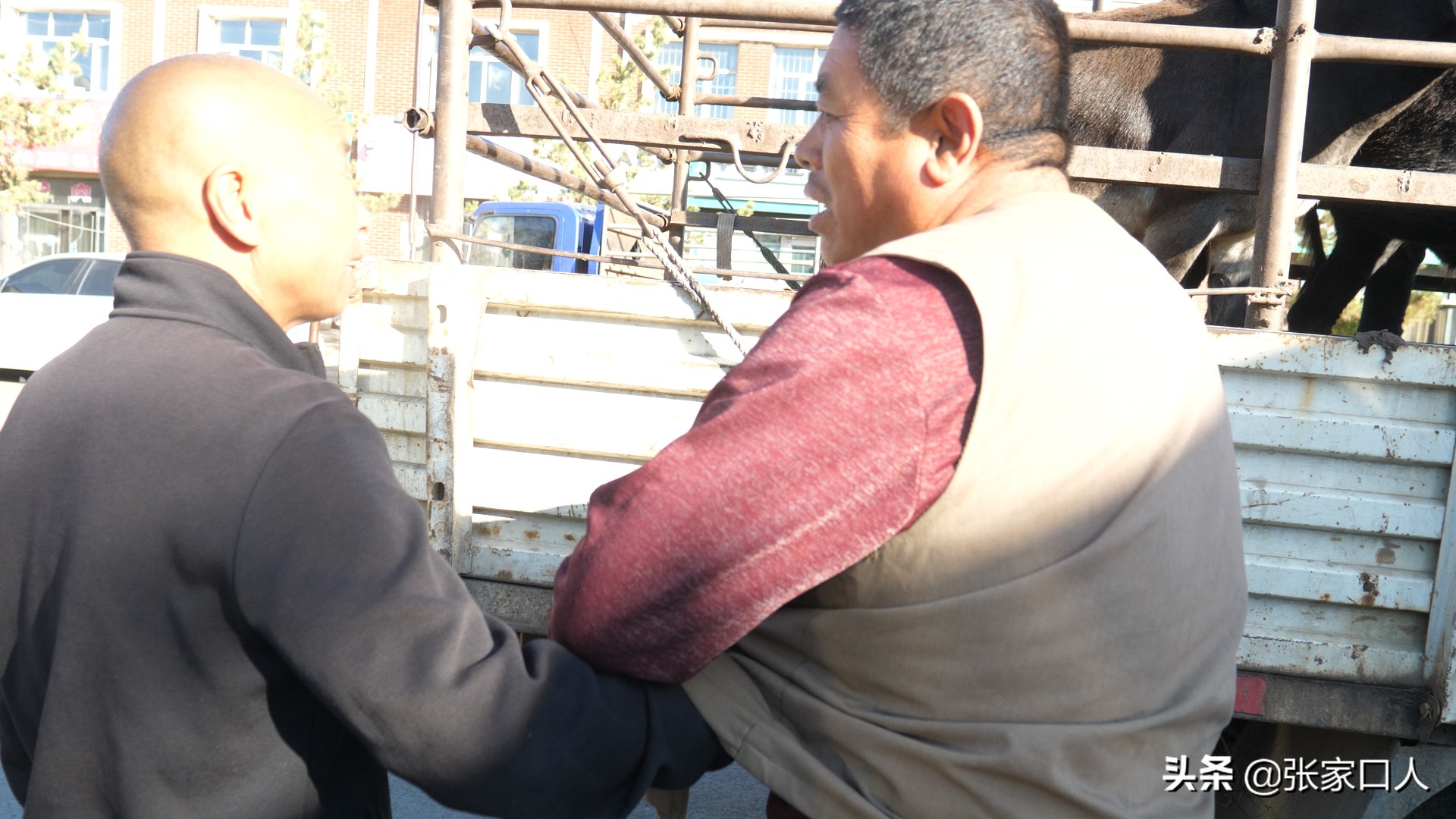 牙纪是古老的行业，在张北牲畜交易中心年轻人都在干，什么原因？