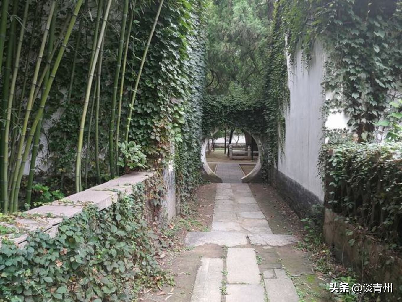 青州古城一日游视频,青州古城夜晚一日游