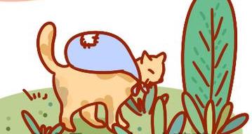 妈妈不舍宠物猫，婴儿肺里竟有猫毛?宠物与宝宝如何兼得?