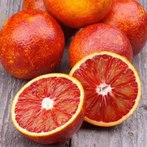 成都特产去哪买便宜带回家,成都什么特产适合带回来吃