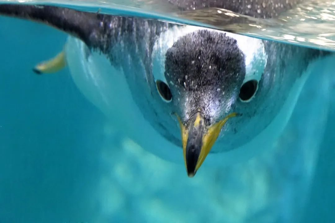 香港第14届全国摄影艺术展,第29届全国摄影艺术展览获奖名单