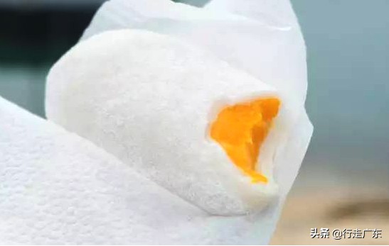 去香港麦兜家乡,麦兜香港旅游攻略