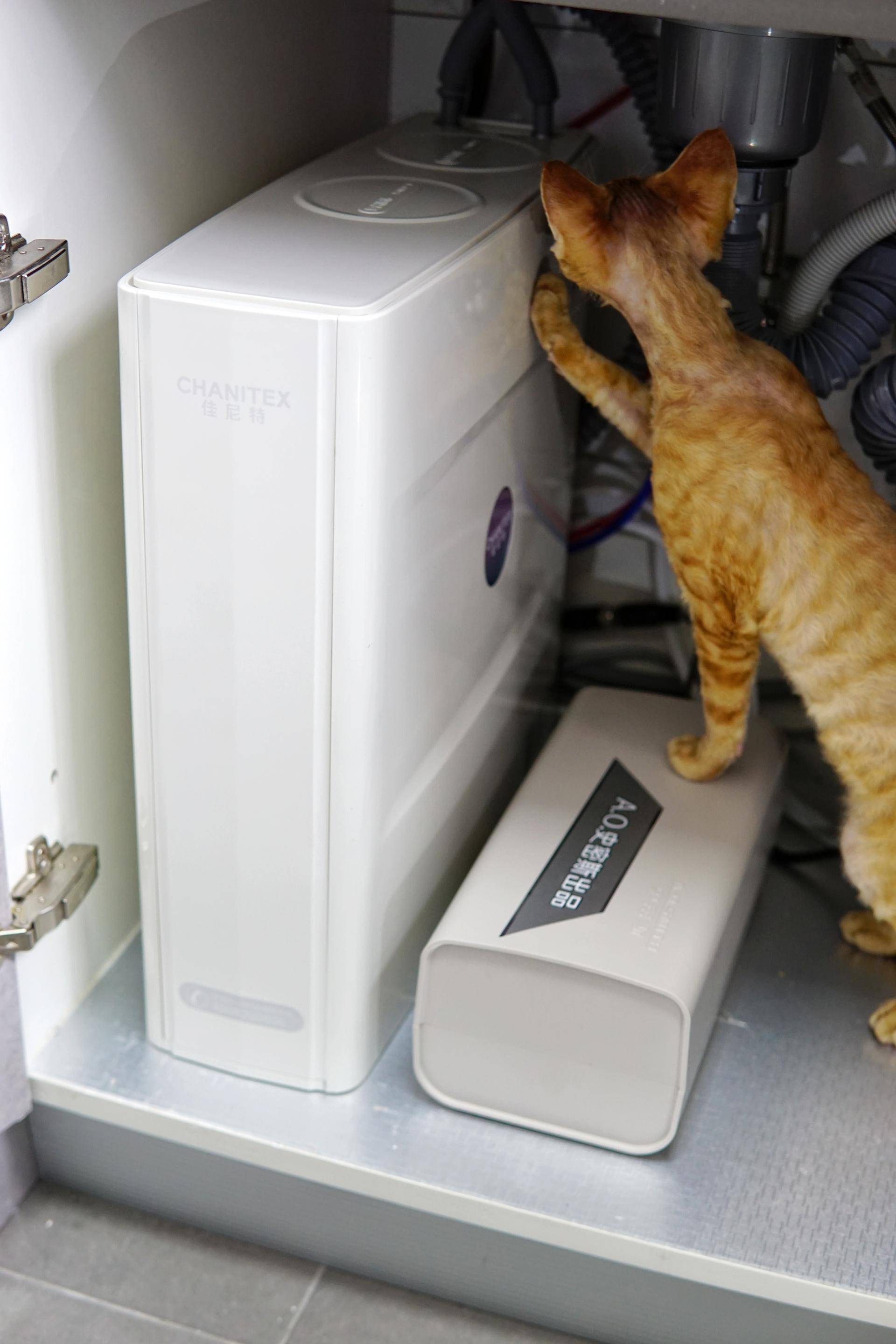 净热一体净水器佳尼特缺点,佳尼特冷热一体净水器缺点