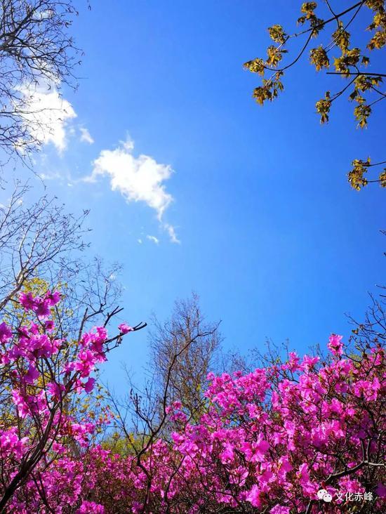 五一赤峰游玩攻略省钱,五一从赤峰出发去哪里玩