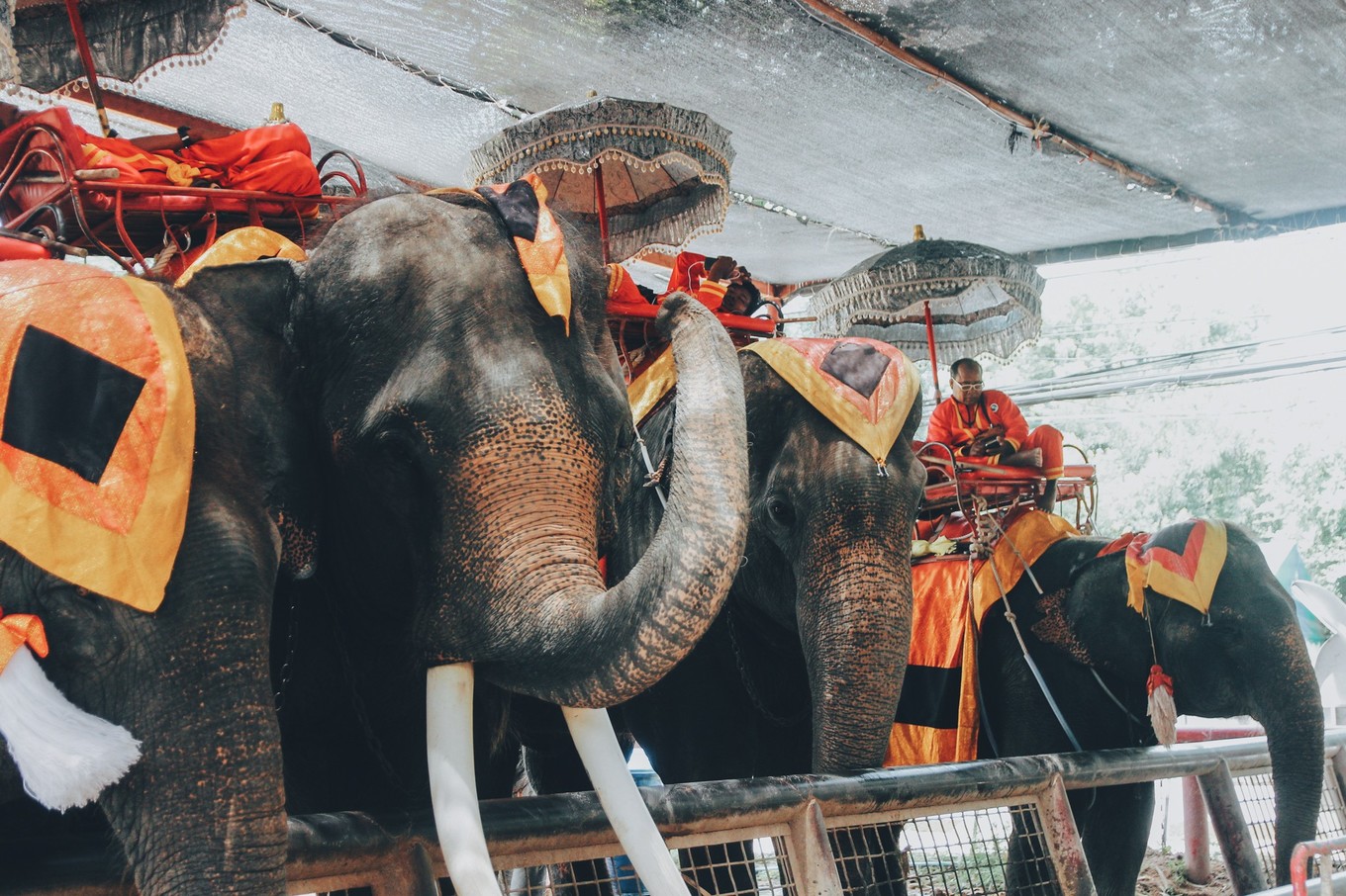 泰国大城府邦芭茵夏宫门票,泰国旅游购物攻略和价格