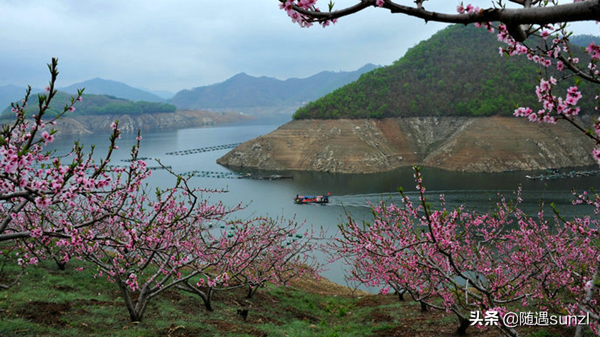 丹东宽甸桃花旅游攻略,丹东宽甸桃花岛旅游攻略自驾