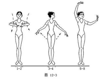 舞蹈步位基础知识,舞蹈的手位练习