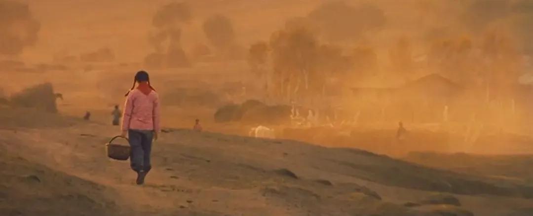 坝上秋色之金色草原,坝上金色草原风景