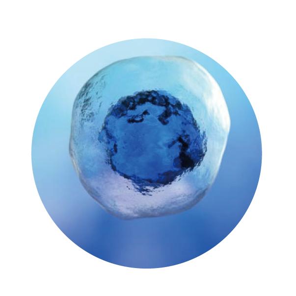 kiehls绉戦姘忕幓灏块吀淇姢绮惧崕100ml,绉戦姘弅iehls浜у搧鍥剧墖