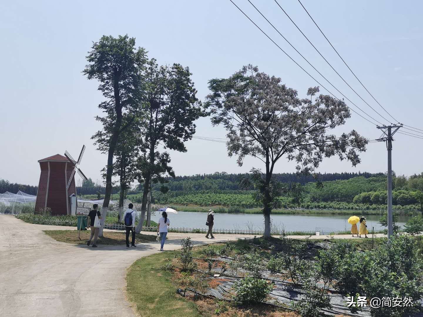 松鼠部落自驾游,松鼠部落一日游