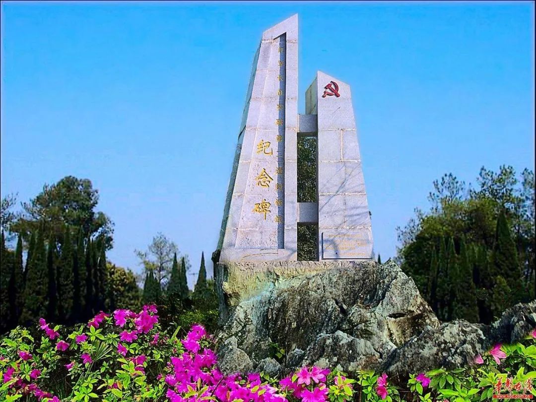 广西旅游景区向全国医护人员免费,疫情医护人员景区免费