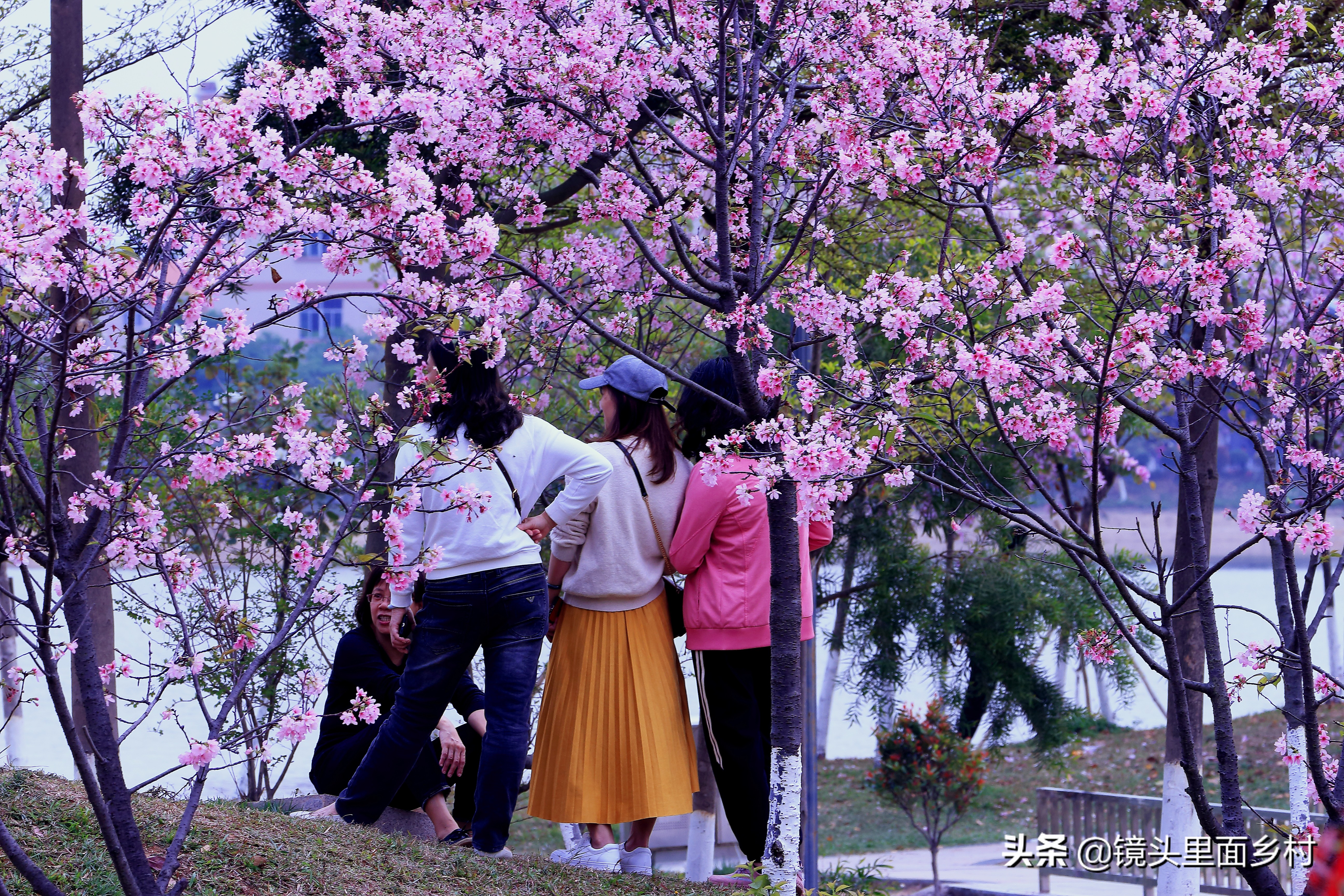 春分节日,节日春分