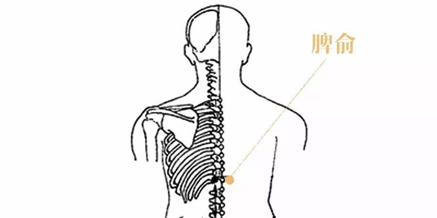 为什么我胃疼,胃疼是艾灸的原因吗