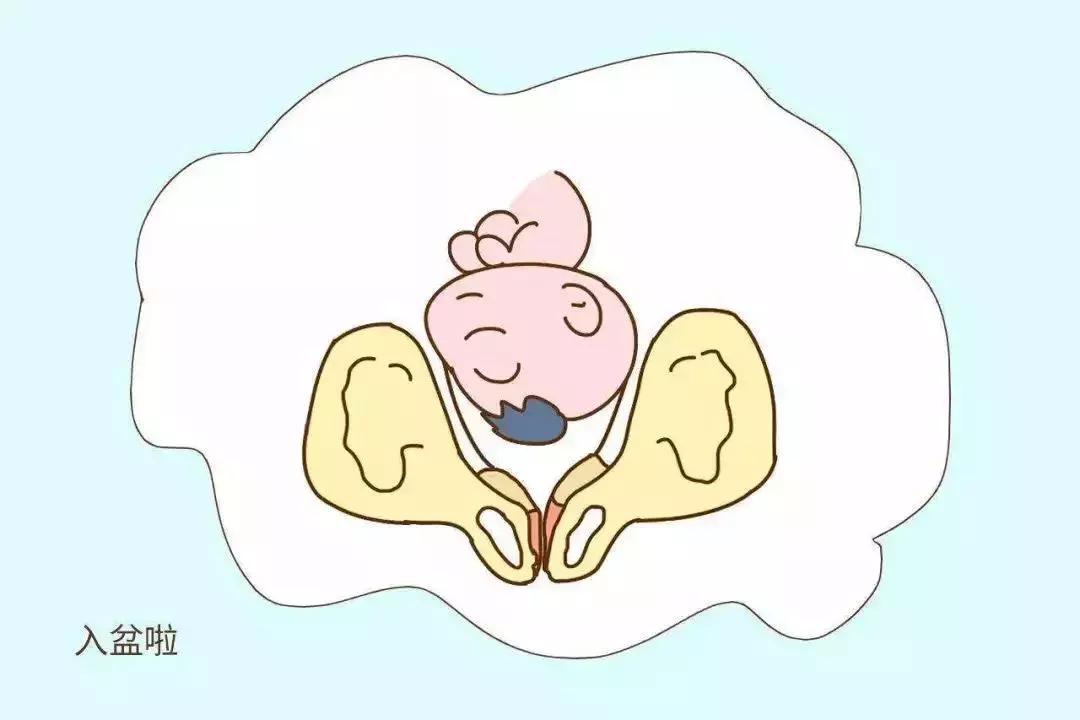 广州市月子中心最新排行榜总结,广州市番禺区月子中心排行榜