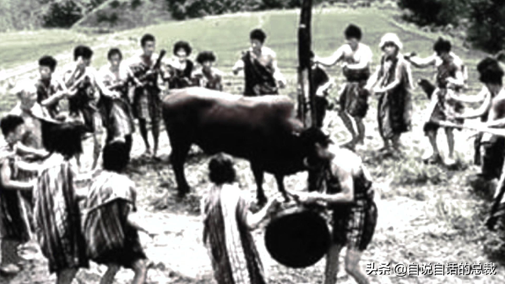 阿努纳奇创造人类7次文明,阿努纳奇人类起源