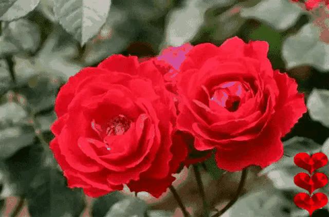 励志金句经典语录300句,励志座右铭八个字经典语录