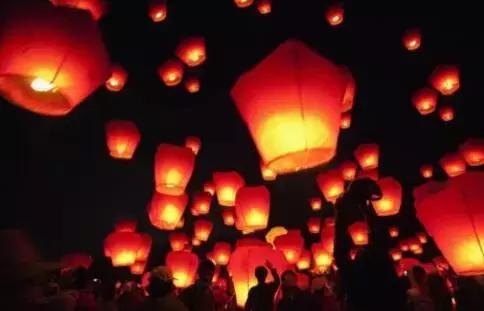 河南“水果猎人”走遍东南亚雨林，吃过600多种水果；月球上长出第一株绿芽，种子培育来自安阳丨大河早新闻