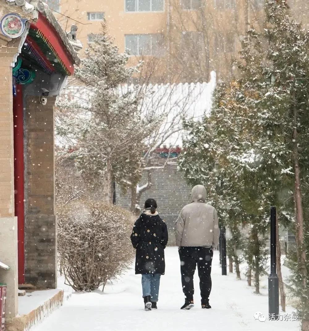 冬已至春来到,冬天去通辽草原