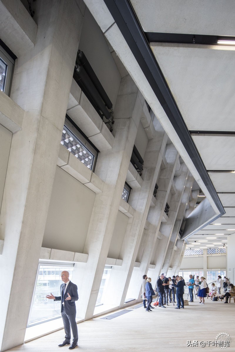 泰特美术馆设计,泰特现代美术馆建筑分析