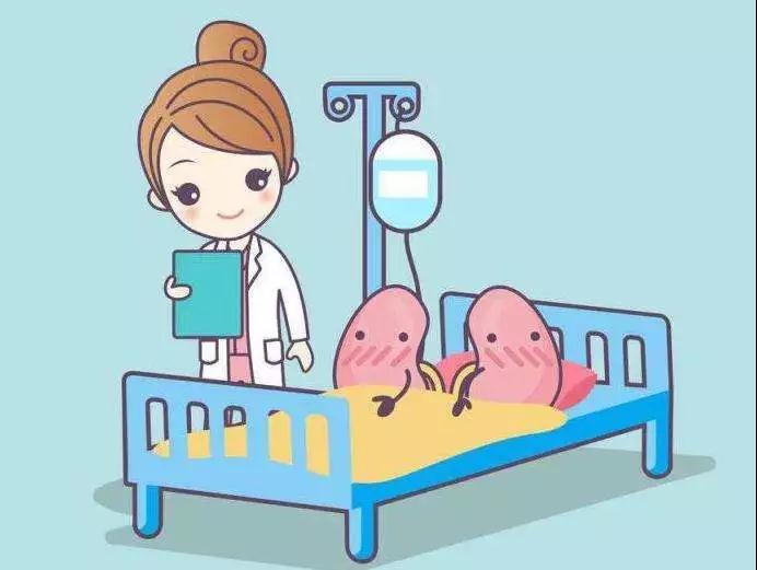 早期的急性肾损伤症状,急性肾损伤无尿期多久可恢复