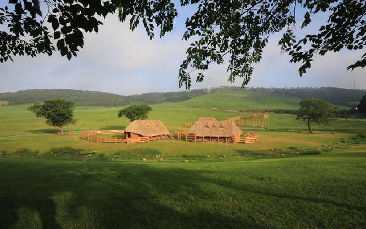 超长记录亲子牧场一日游,暑期草原亲子游攻略
