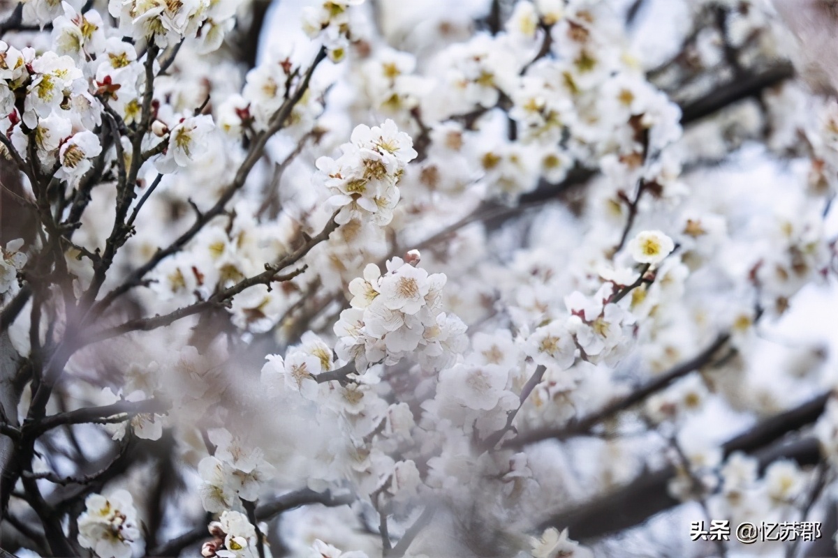西山景区门票优惠,昆明西山风景区免费攻略